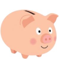 pig